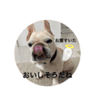 Bruna＆Brothers（個別スタンプ：24）