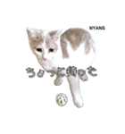 NPO法人動物愛護団体NYANS（個別スタンプ：9）