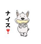 ちょい悪犬のハナちゃん（個別スタンプ：19）