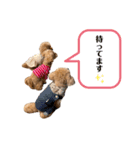 すーくんとまーちゃん（個別スタンプ：5）