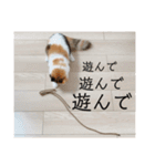 パルムちゃんと一緒（個別スタンプ：9）