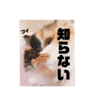 パルムちゃんと一緒（個別スタンプ：10）
