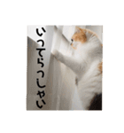 パルムちゃんと一緒（個別スタンプ：18）