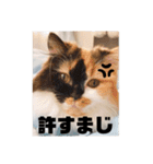 パルムちゃんと一緒（個別スタンプ：20）