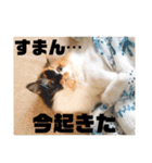 パルムちゃんと一緒（個別スタンプ：22）