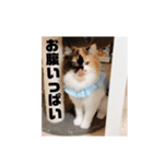 パルムちゃんと一緒（個別スタンプ：23）