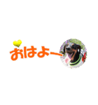 ミニピンスタンプ2021 お返事編（個別スタンプ：1）