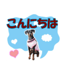 ミニピンスタンプ2021 お返事編（個別スタンプ：6）