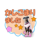 ミニピンスタンプ2021 お返事編（個別スタンプ：8）