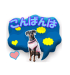 ミニピンスタンプ2021 お返事編（個別スタンプ：10）
