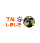 ミニピンスタンプ2021 お返事編（個別スタンプ：13）