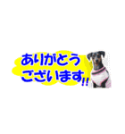 ミニピンスタンプ2021 お返事編（個別スタンプ：17）