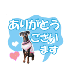 ミニピンスタンプ2021 お返事編（個別スタンプ：18）