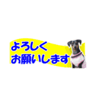 ミニピンスタンプ2021 お返事編（個別スタンプ：21）