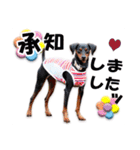 ミニピンスタンプ2021 お返事編（個別スタンプ：23）