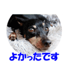 ミニピンスタンプ2021 お返事編（個別スタンプ：24）