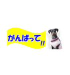 ミニピンスタンプ2021 お返事編（個別スタンプ：25）