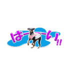 ミニピンスタンプ2021 お返事編（個別スタンプ：29）