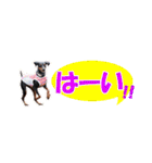 ミニピンスタンプ2021 お返事編（個別スタンプ：33）