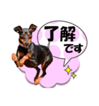 ミニピンスタンプ2021 お返事編（個別スタンプ：34）
