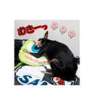 ミニピンスタンプ2021 お返事編（個別スタンプ：38）