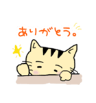 まめとらん（個別スタンプ：2）