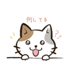 猫の_日常生活（個別スタンプ：4）