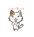 猫の_日常生活（個別スタンプ：6）