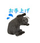 とろろの日常2（個別スタンプ：12）