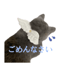 とろろの日常2（個別スタンプ：15）