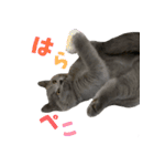 とろろの日常2（個別スタンプ：16）
