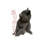 とろろの日常2（個別スタンプ：18）