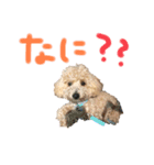 夜叉丸さん（個別スタンプ：4）