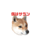 僕ロビンです（個別スタンプ：8）
