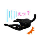うちの黒猫レモンぷち2☺（個別スタンプ：3）