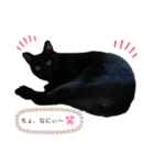 うちの黒猫レモンぷち2☺（個別スタンプ：5）