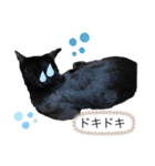 うちの黒猫レモンぷち2☺（個別スタンプ：8）