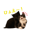 ぱちくろ2（個別スタンプ：7）