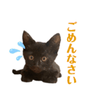 ぱちくろ2（個別スタンプ：14）
