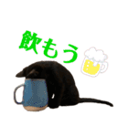 ぱちくろ2（個別スタンプ：18）