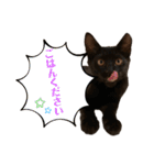 ぱちくろ2（個別スタンプ：20）