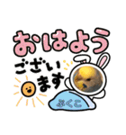 インコぷくこのスタンプ（個別スタンプ：1）