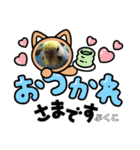 インコぷくこのスタンプ（個別スタンプ：8）