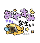 インコぷくこのスタンプ（個別スタンプ：9）