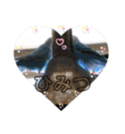 インコぷくこのスタンプ（個別スタンプ：25）