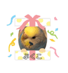 インコぷくこのスタンプ（個別スタンプ：32）