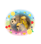 インコぷくこのスタンプ（個別スタンプ：38）