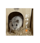 ぴーちゃんだお（個別スタンプ：4）