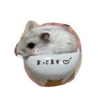 ぴーちゃんだお（個別スタンプ：5）