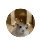 ぴーちゃんだお（個別スタンプ：8）